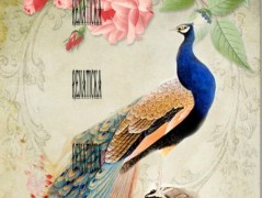 Bavlněný panel reprodukce 2028