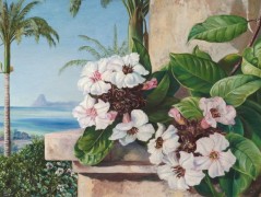 Bavlněný panel reprodukce 2028