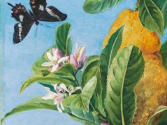 Bavlněný panel reprodukce 2028