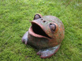 Žába