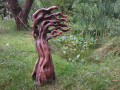Strom