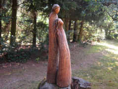 Pelikáni...