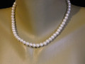 Náhrdelník - bílé shell perly
