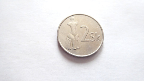 Mince Slovensko, 2 Sk, 2003, retro kov retro koruna mince sběratelství starožitnost slovensko raznice sběratel numismatika platidlo mincovna oběživo měna 