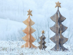 Vyšla hvězda Betlém sv. rodina