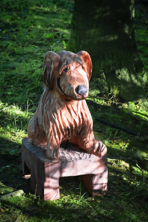 Pejsek na stoličce, psí přítel 