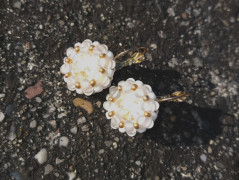 Melounová - náramek