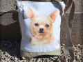 Crossbody - Čivava